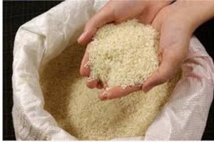 برنج نو ایرانی 200 هزار تومن ارزونتر +ارسال رایگان (به مدت یک هفته)