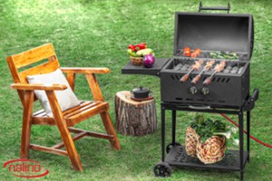 کباب‌ بازی با نالینو! » باربیکیو گازی ذغالی